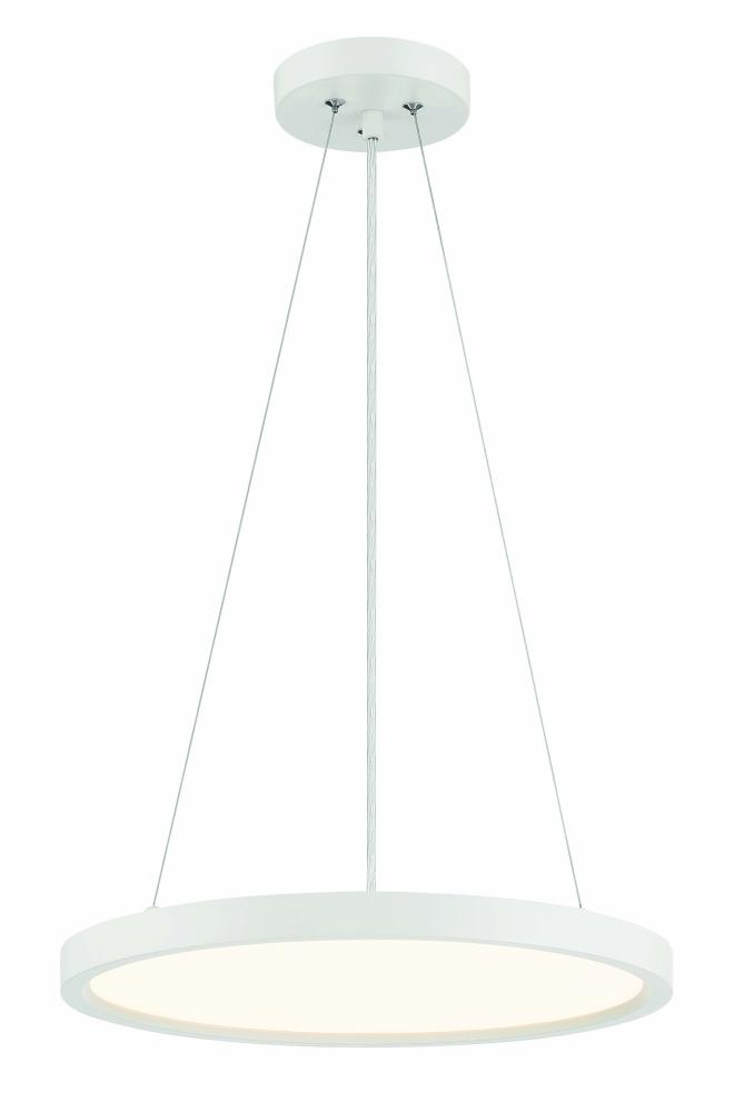 30W LED PENDANT FIXTURE