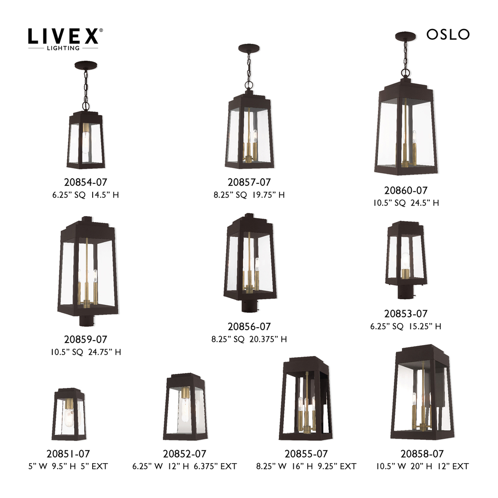 1 Lt Bronze Outdoor Pendant Lantern