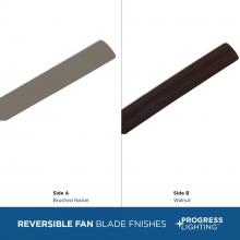 PROG_P250089-009-WB_blades.jpg