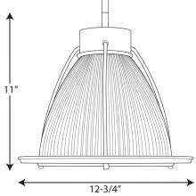 PROG_P5182-09dimensions_lineart.jpg