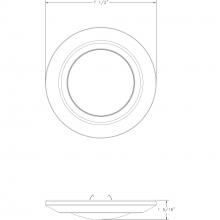 PROG_P810013dimensions_lineart.jpg