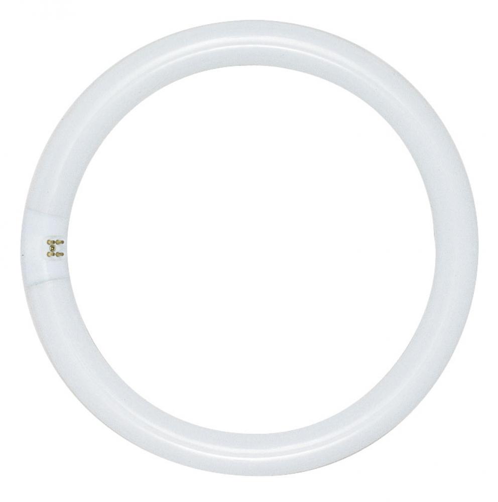 40 Watt; T9; Circline Fluorescent; 3000K Warm White; 52 CRI; 4-Pin base