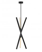 Fredrick Ramond FR30617BLK - Medium Pendant